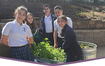 Students tending plants in metal bins