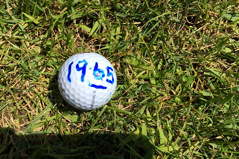 Golf ball in grass with 1965 written