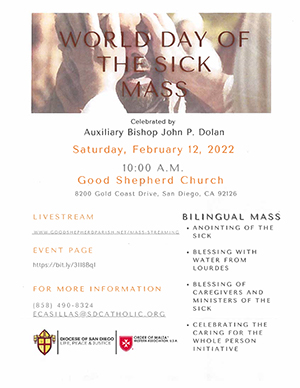 World Day of the Sick Flyer